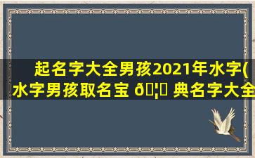 起名字大全男孩2021年水字(水字男孩取名宝 🦁 典名字大全)